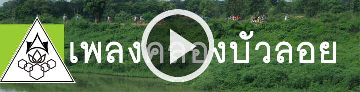 เพลง คลองบัวลอย
